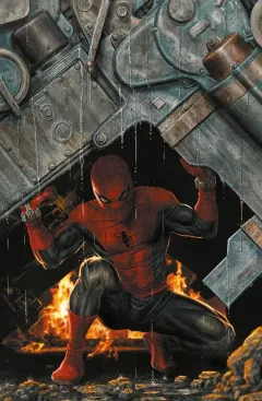 Copertina del volume